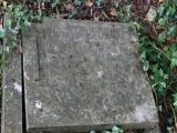 image of grave number 500617